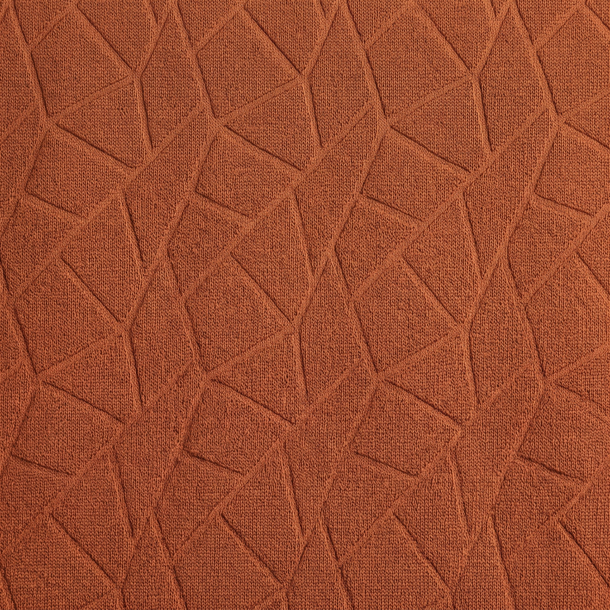 Geometric Tee Rust
